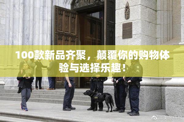 100款新品齐聚，颠覆你的购物体验与选择乐趣！