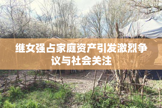 继女强占家庭资产引发激烈争议与社会关注