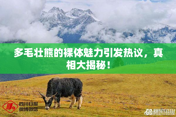多毛壮熊的裸体魅力引发热议，真相大揭秘！