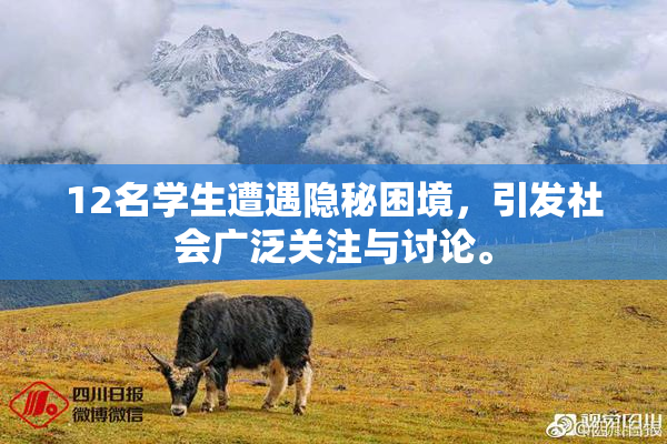12名学生遭遇隐秘困境，引发社会广泛关注与讨论。