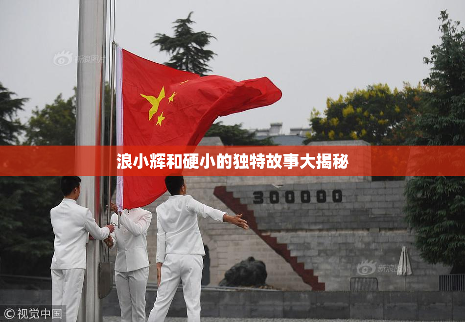 浪小辉和硬小的独特故事大揭秘