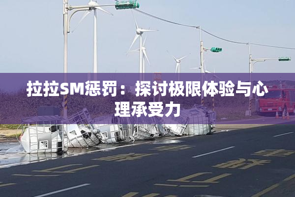 拉拉SM惩罚：探讨极限体验与心理承受力