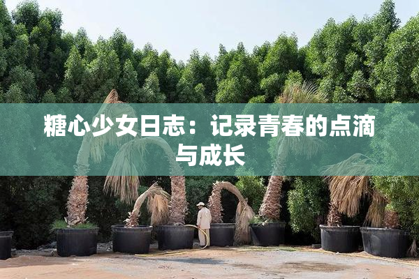 糖心少女日志：记录青春的点滴与成长