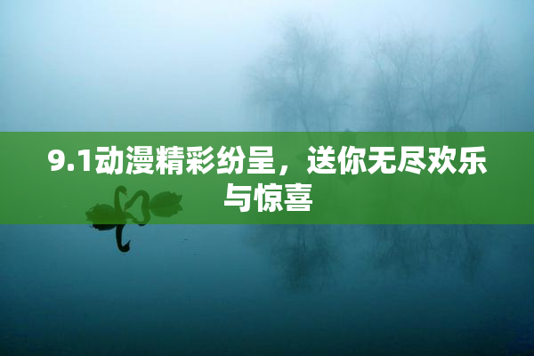 9.1动漫精彩纷呈，送你无尽欢乐与惊喜