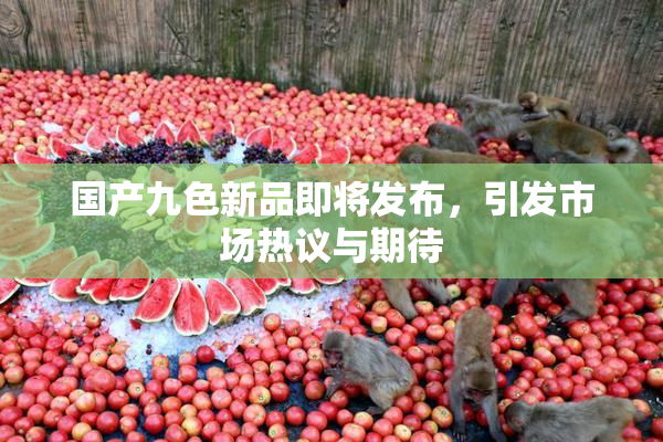 国产九色新品即将发布，引发市场热议与期待
