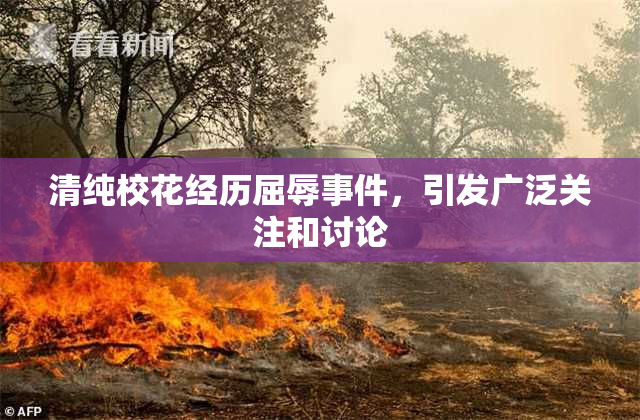清纯校花经历屈辱事件，引发广泛关注和讨论