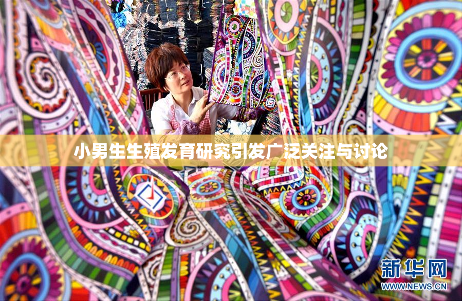 小男生生殖发育研究引发广泛关注与讨论