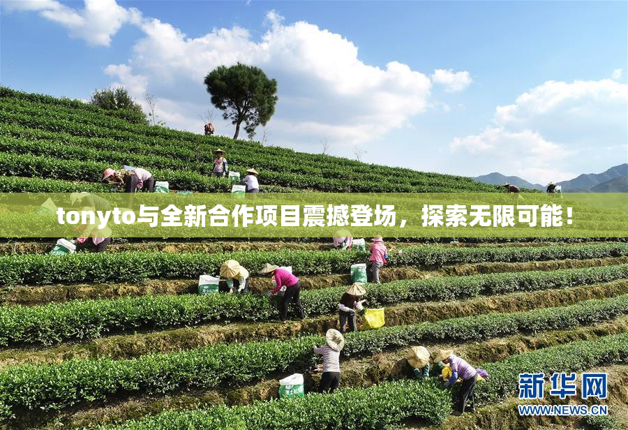tonyto与全新合作项目震撼登场，探索无限可能！