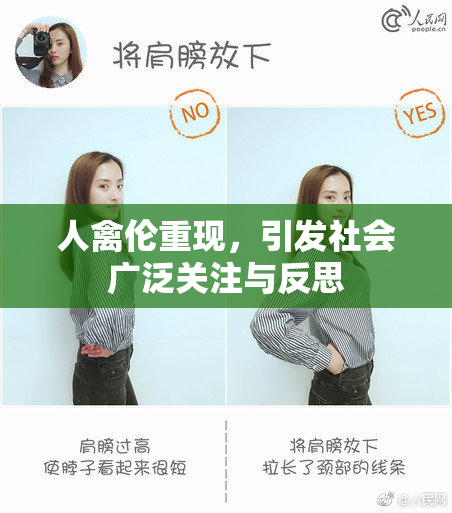 人禽伦重现，引发社会广泛关注与反思
