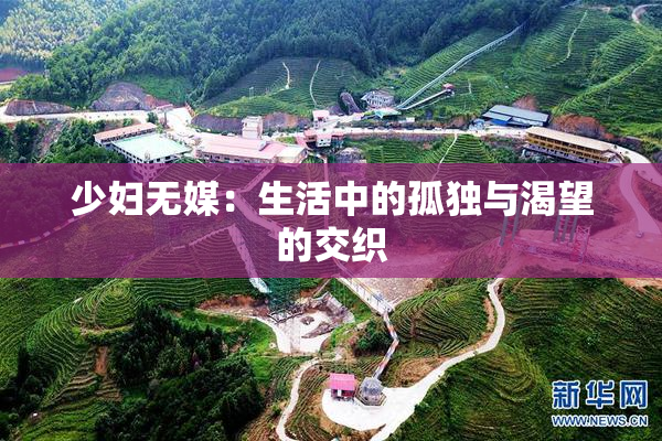 少妇无媒：生活中的孤独与渴望的交织
