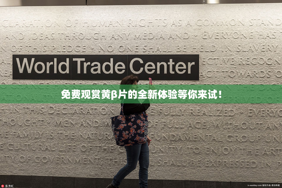 免费观赏黄β片的全新体验等你来试！