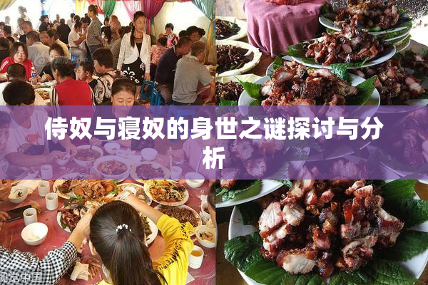 侍奴与寝奴的身世之谜探讨与分析