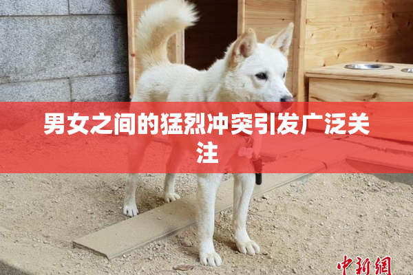 男女之间的猛烈冲突引发广泛关注