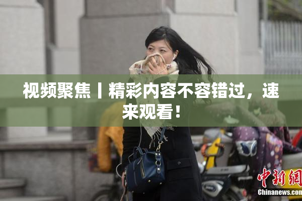 视频聚焦丨精彩内容不容错过，速来观看！