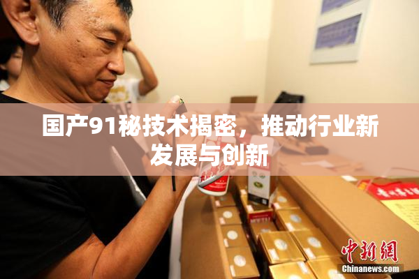 国产91秘技术揭密，推动行业新发展与创新