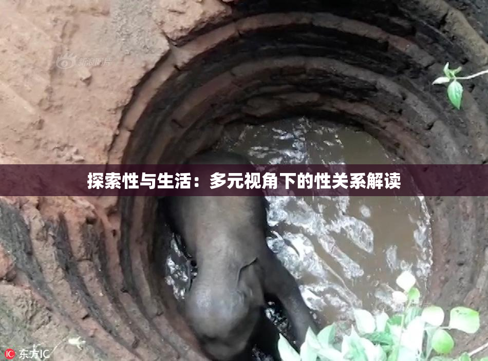 探索性与生活：多元视角下的性关系解读