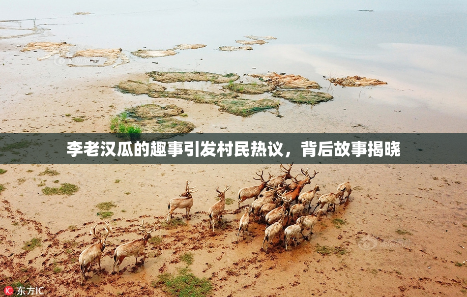 李老汉瓜的趣事引发村民热议，背后故事揭晓