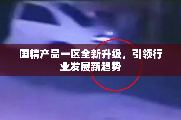 国精产品一区全新升级，引领行业发展新趋势