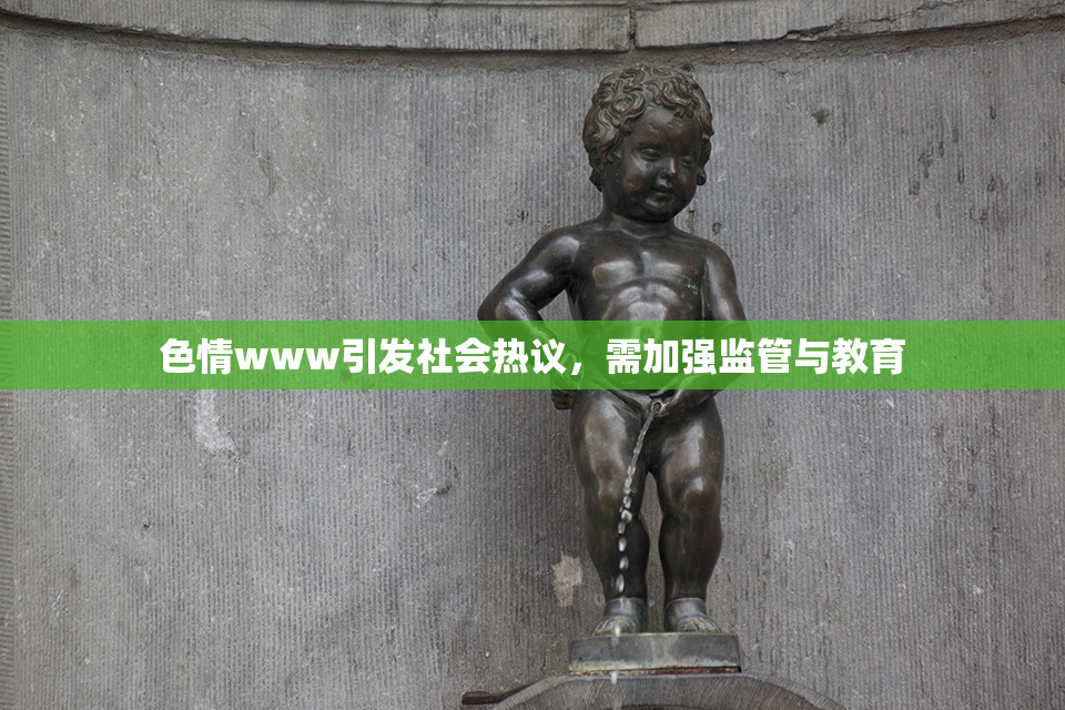 色情www引发社会热议，需加强监管与教育