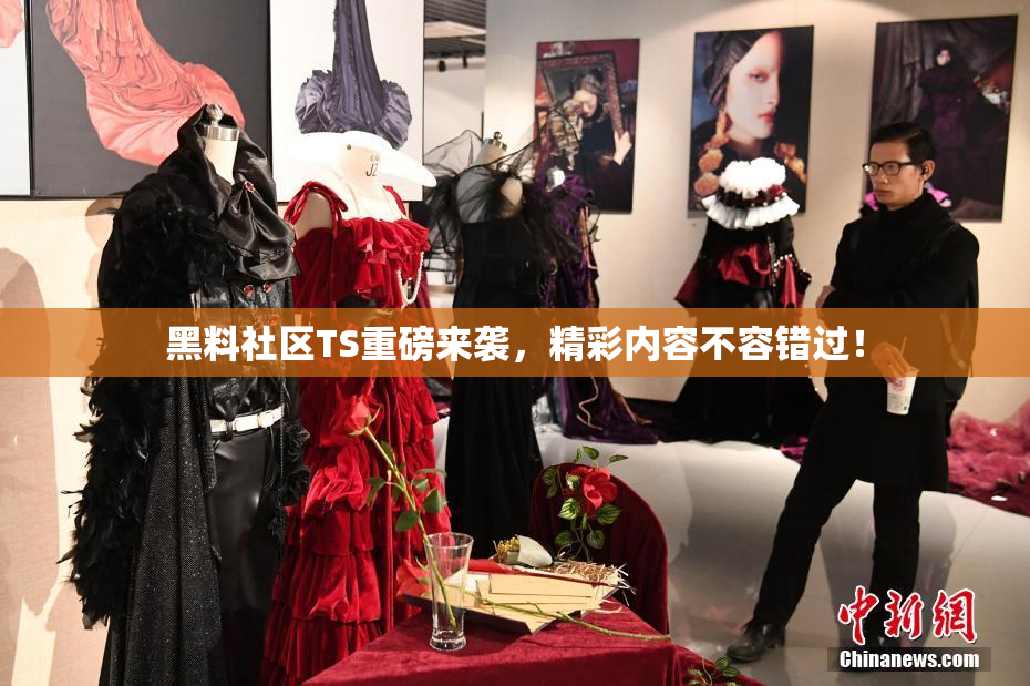 黑料社区TS重磅来袭，精彩内容不容错过！