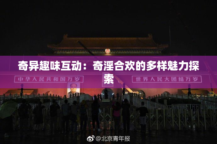 奇异趣味互动：奇淫合欢的多样魅力探索