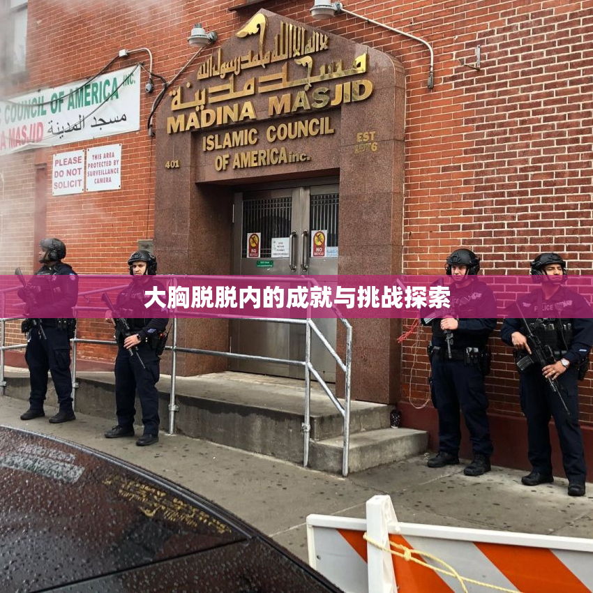 大胸脱脱内的成就与挑战探索