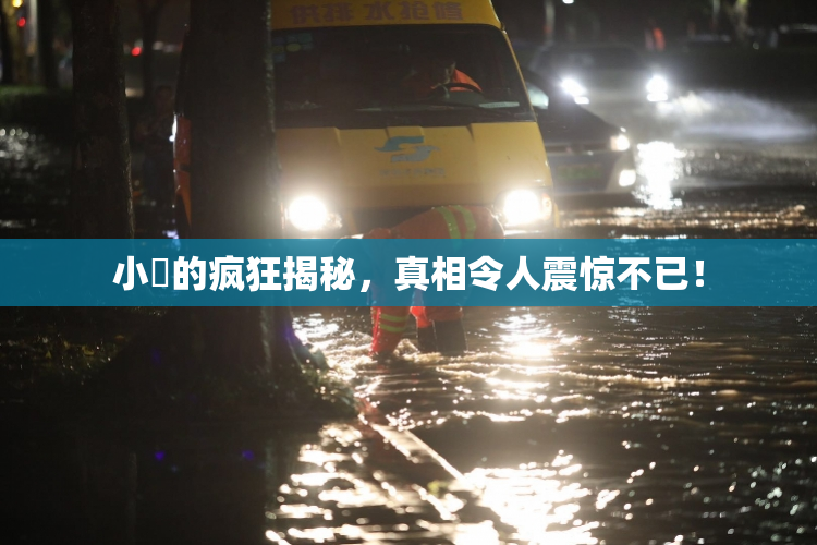 小泬的疯狂揭秘，真相令人震惊不已！