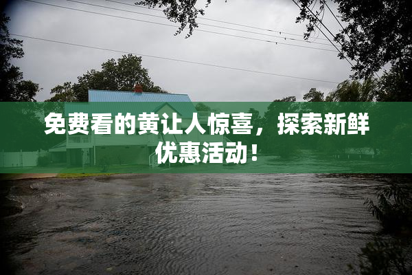 免费看的黄让人惊喜，探索新鲜优惠活动！