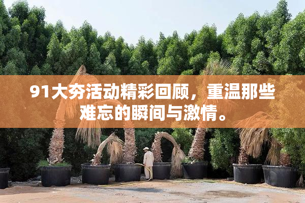 91大夯活动精彩回顾，重温那些难忘的瞬间与激情。