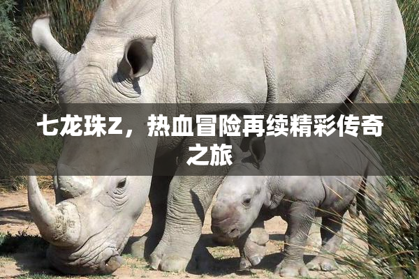 七龙珠Z，热血冒险再续精彩传奇之旅