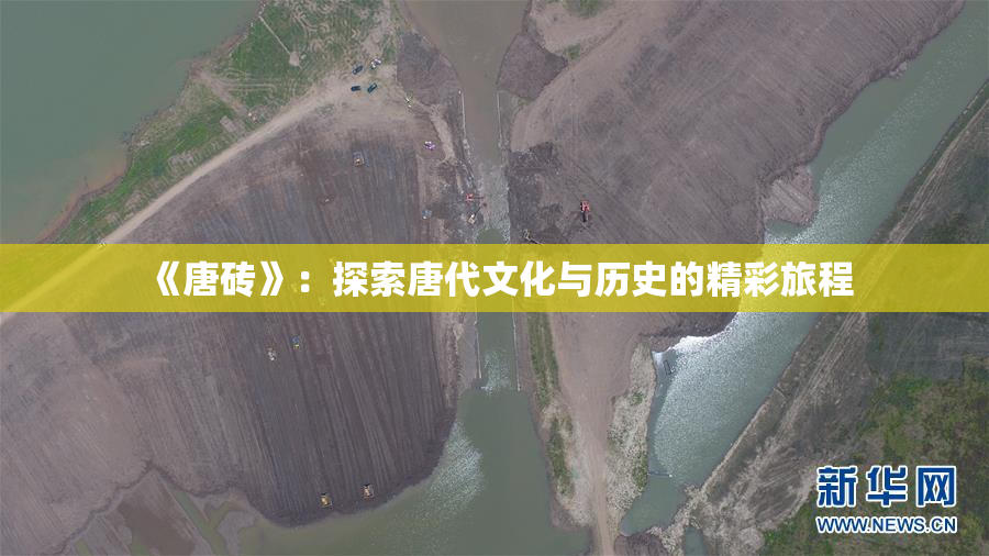 《唐砖》：探索唐代文化与历史的精彩旅程
