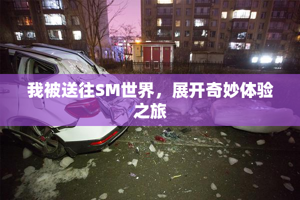 我被送往SM世界，展开奇妙体验之旅