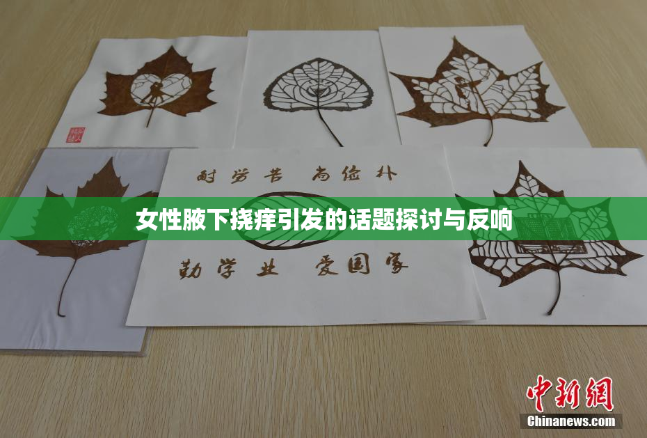 女性腋下挠痒引发的话题探讨与反响