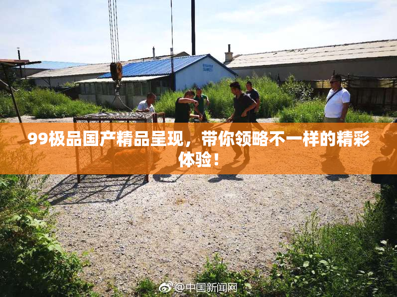 99极品国产精品呈现，带你领略不一样的精彩体验！