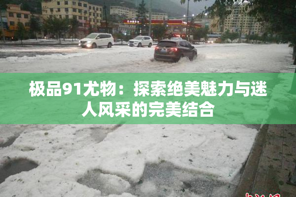 极品91尤物：探索绝美魅力与迷人风采的完美结合