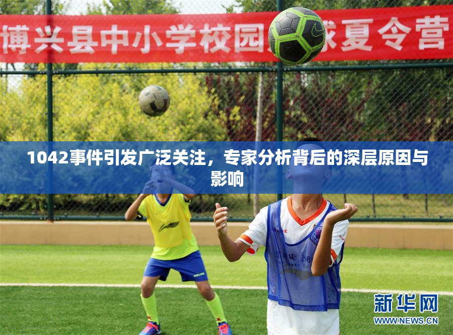 1042事件引发广泛关注，专家分析背后的深层原因与影响