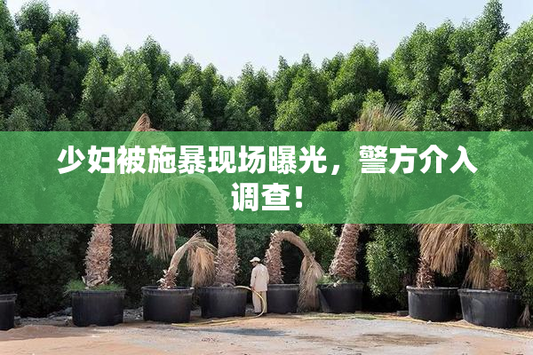 少妇被施暴现场曝光，警方介入调查！