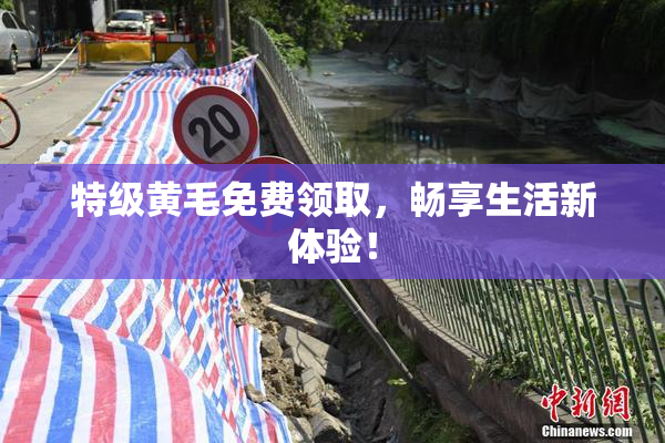 特级黄毛免费领取，畅享生活新体验！