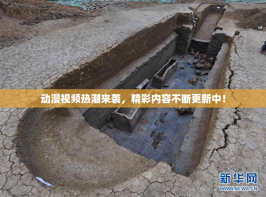 动漫视频热潮来袭，精彩内容不断更新中！