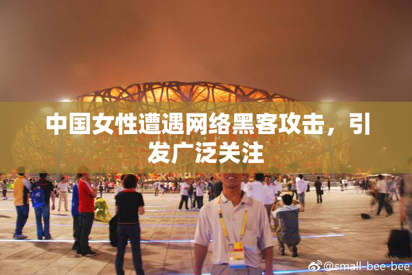 中国女性遭遇网络黑客攻击，引发广泛关注