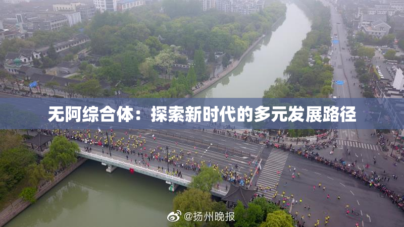 无阿综合体：探索新时代的多元发展路径