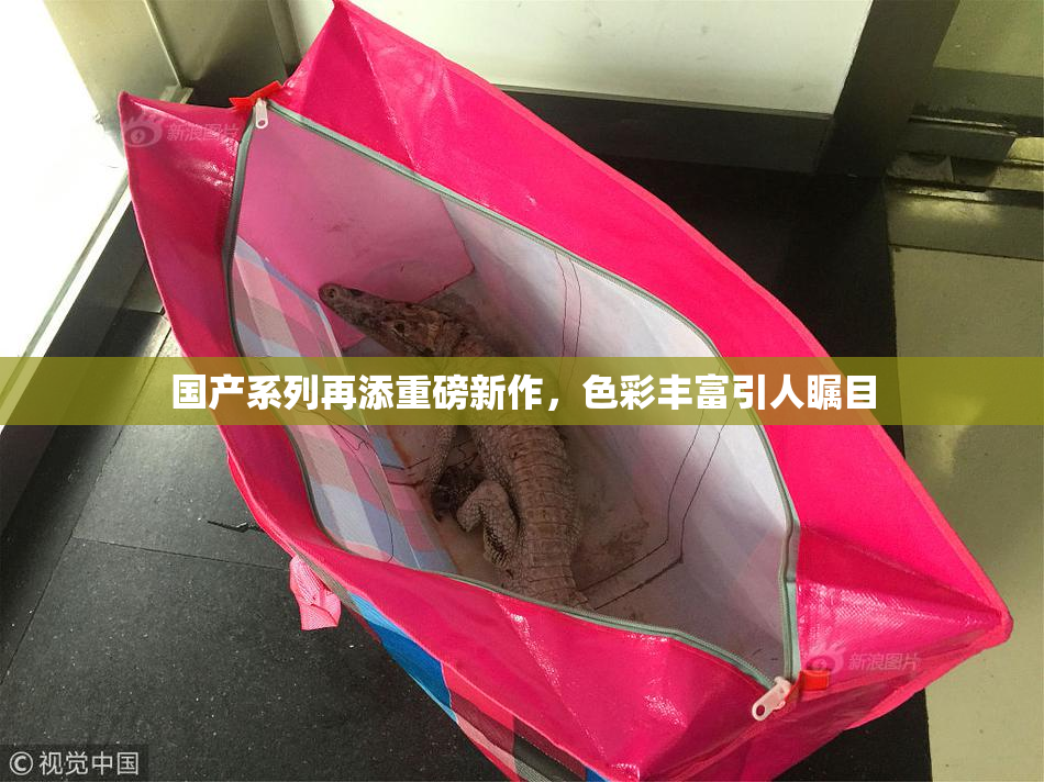 国产系列再添重磅新作，色彩丰富引人瞩目