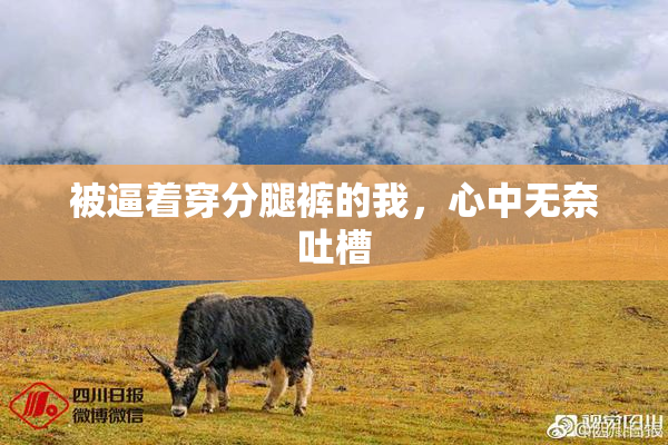 被逼着穿分腿裤的我，心中无奈吐槽