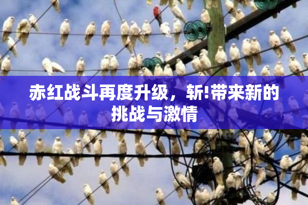 赤红战斗再度升级，斩!带来新的挑战与激情