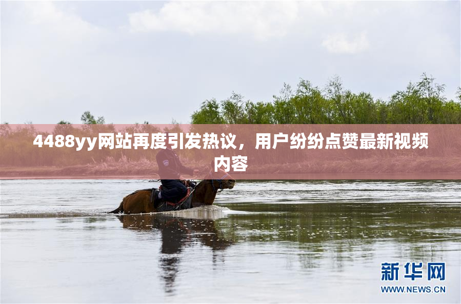 4488yy网站再度引发热议，用户纷纷点赞最新视频内容