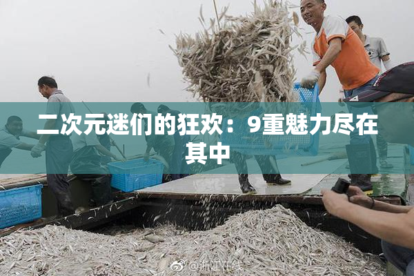 二次元迷们的狂欢：9重魅力尽在其中