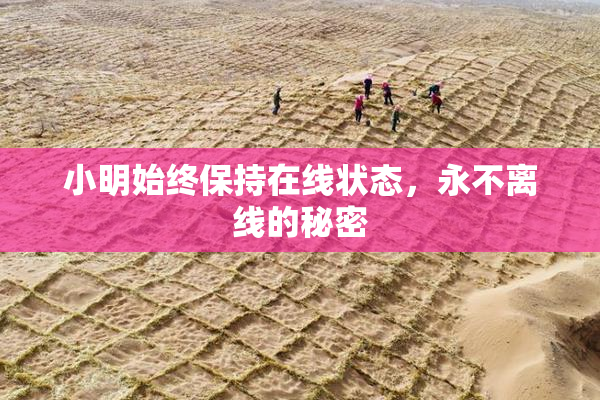 小明始终保持在线状态，永不离线的秘密