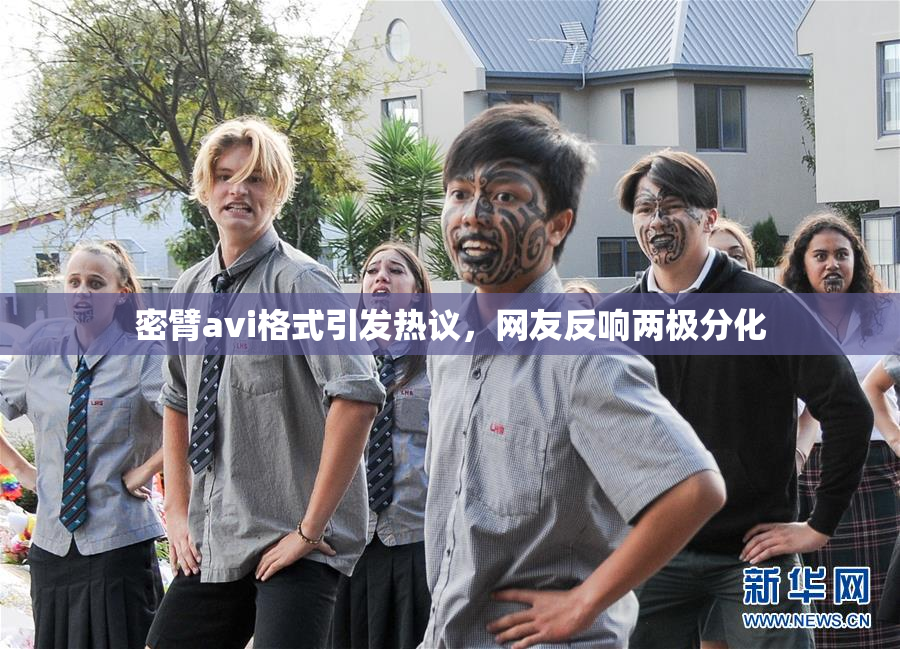 密臂avi格式引发热议，网友反响两极分化