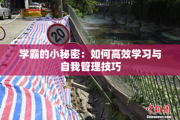 学霸的小秘密：如何高效学习与自我管理技巧