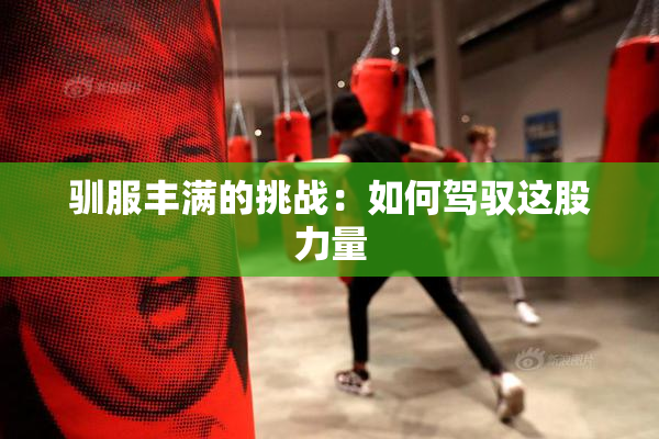 驯服丰满的挑战：如何驾驭这股力量